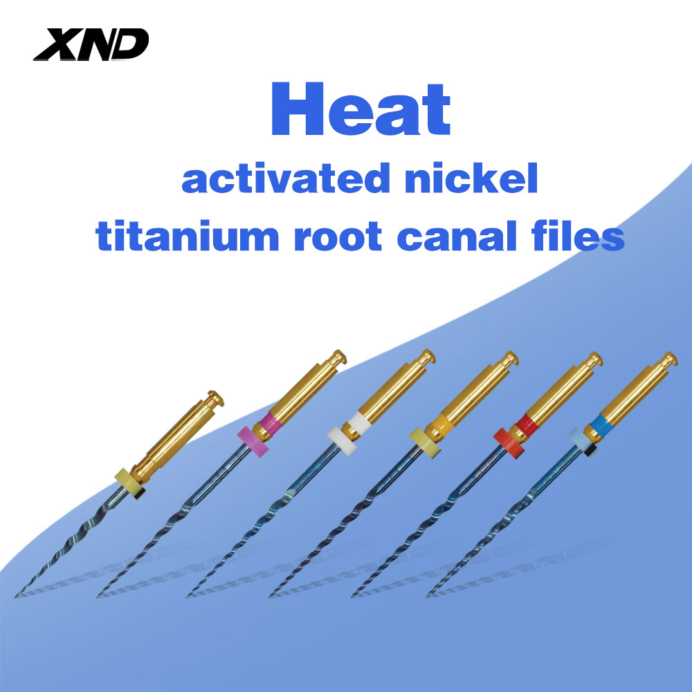 XND Dental Root Canal Files 6p - Woodworking Files ulasan dan harga